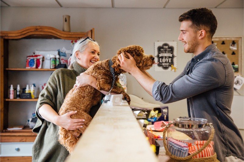 Dog Grooming Salon